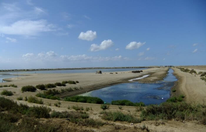 ecosystems and biodiversity sustainable land management Egypt