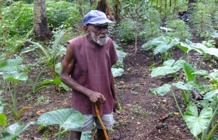 Local taro farmer, Malo Island,Vanuatu