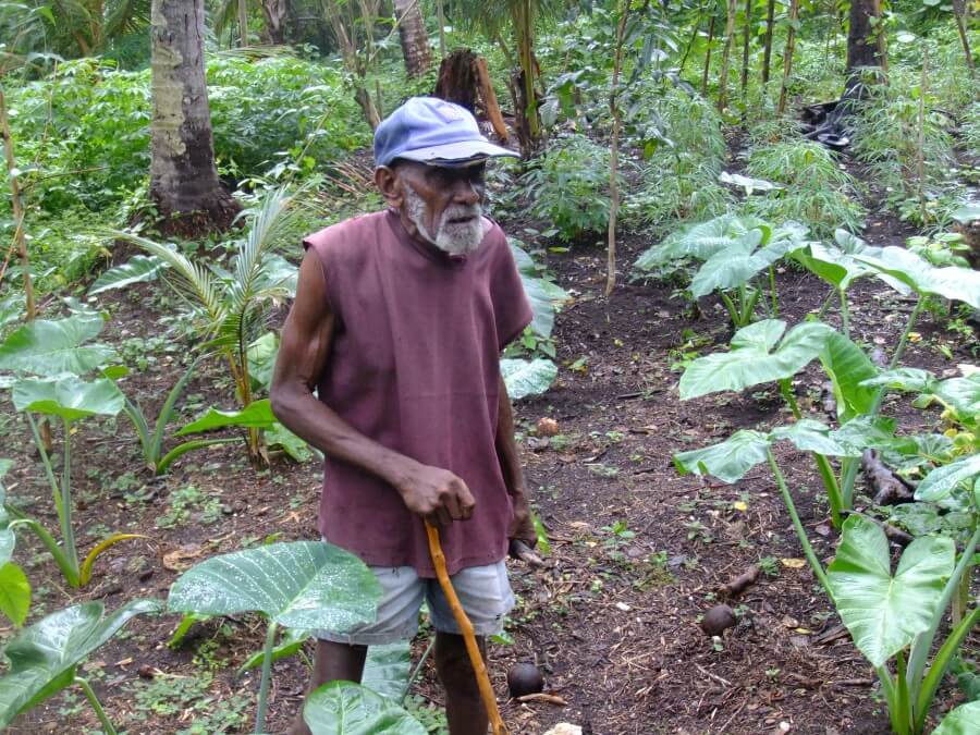 Local taro farmer, Malo Island,Vanuatu