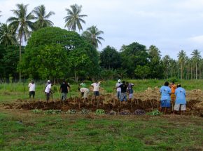 Demonstration farm site, Espirato Santo, Vanuatu