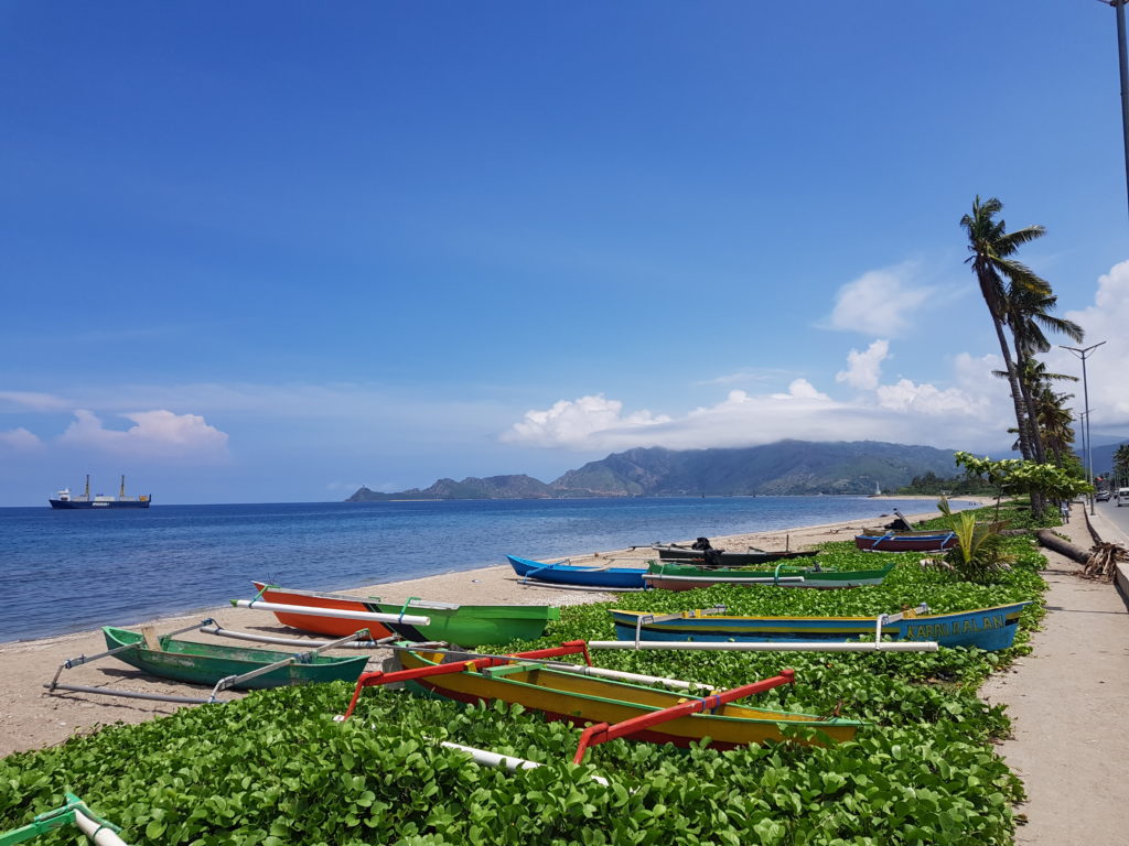 Timor-Leste - Sustainable Seas