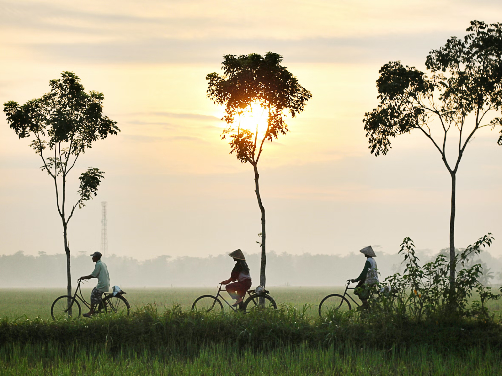 Indonesia (Photo by 'Dikaseva' on Unsplash)